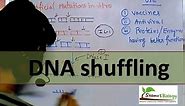 DNA shuffling