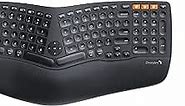ProtoArc Ergonomic Wireless Keyboard Mouse, EKM01 Ergo Bluetooth Keyboard and Mouse Combo, Split Design, Palm Rest, Multi-Device, Rechargeable, Windows/Mac/Android (Black)