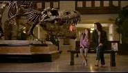 McDonald's Night at the Museum 2 Commercial - Rexy