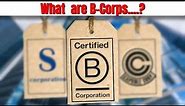 What is a B Corporation (B-Corp)?