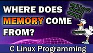 The Origins of Process Memory | Exploring the Use of Various Memory Allocators in Linux C
