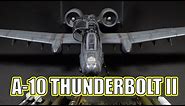 1/48 A-10 Thunderbolt II - HobbyBoss 80324 - Complete Build & Paint Video