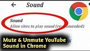 How to Mute & Unmute YouTube Sound in Chrome Browser