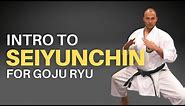 Goju Ryu Seiyunchin Kata Basics Part 1: A Detailed Introduction