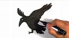 How to Draw a Raven - Edgar Allan Poe - Halloween Drawings