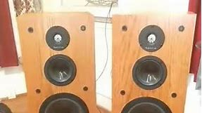 Infinity crescendo CS 3007 vintage speakers (For Sale)