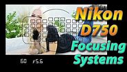 Nikon D750 Tutorial Training - Focusing Systems - How to