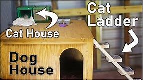 Build a Simple Cat Ladder for your Furry Friends