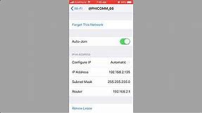 Look up IP address on iPhone | NETVN