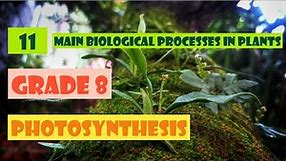 Main biological processes in plants |Unit 11|Grade 8|Science |English medium| Part 1