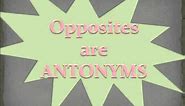Antonyms are Opposites.wmv