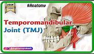 Anatomy of Temporomandibular joint ( TMJ ) Animation: Gross Anatomy medical animations