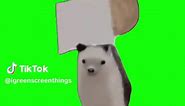 Hedgehog Dancing to Bad Romance | Green Screen #dance #meme #hedgehog #dancing #memes #viral #fyp