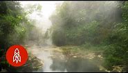 The Amazon’s Boiling River Kills Anything That Enters