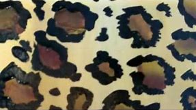 How To: Leopard Print - Draw And Paint