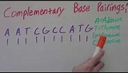Complementary Base Pairings | DNA | How to find Complementary Base Pairing for DNA