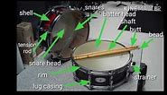 Parts of the Snare Drum