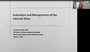 Evaluation and Management of the Adnexal Mass