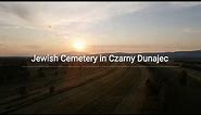 Czarny Dunajec Jewish Cemetery and local tree. GEN-film-IT series