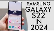 Samsung Galaxy S22 In 2024! (Still Worth Buying?) (Review)