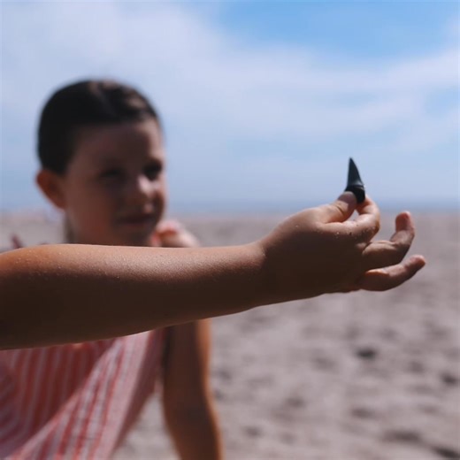 2.3K views · 25 reactions | Escape to sun, sand and serenity at Omni Amelia Island Resort & Spa. With three miles of secluded beach, championship golf tee times and a full-service spa overlooking the Atlantic, it’s not just a stay, it’s your next favorite story. Explore the resort: https://brnw.ch/21wX7W5 | Omni Hotels & Resorts | Facebook