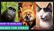 How To Download Memes For Videos | From Where To Get Copyright Free Memes For YouTube Videos