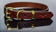 How to make a leather dog collar - leathercraft buildalong tutorial