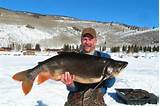 Images of Utah Fishing Lakes