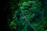 Images of Zip Lining Through The Rainforest