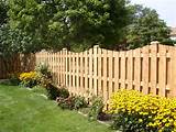 Wood Fence Photos