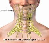 Spinal Nerves In Cervical Region Images