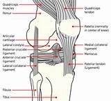 Pictures of Nerve Damage Symptoms After Knee Surgery