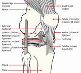 Knee Pain After Walking Long Distance Pictures