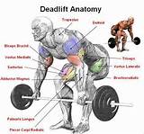 Photos of Back Exercises Deadlift