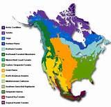 Boreal Forest Biome Geographical Location Photos