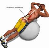 Images of Lower Back Exercises Gym