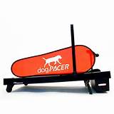 Images of Dogpacer Treadmill Reviews