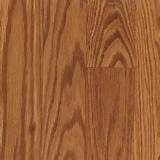 Pictures of Harvest Oak Laminate Flooring