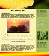 Newsletter Templates Html Images