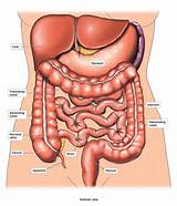 Colon Cramping Images