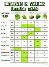 Images of Health Benefits Iceberg Lettuce