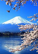 Images of Fuji Mountain Pictures Japan