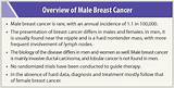 Types Of Male Cancer