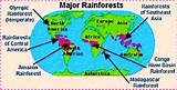 Tropical Rainforest Map Of The World Pictures