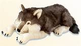 Photos of Stuffed Wolf Toys