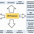 HR Process Map