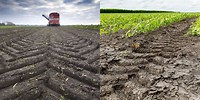 Soil Compaction Agriculture Field