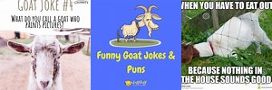 Funny Goat Farm Jokes