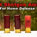 12 Gauge Lead BB Shotgun Shells