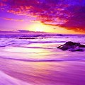 2560X1440 Wallpaper Purple Beach Sunset